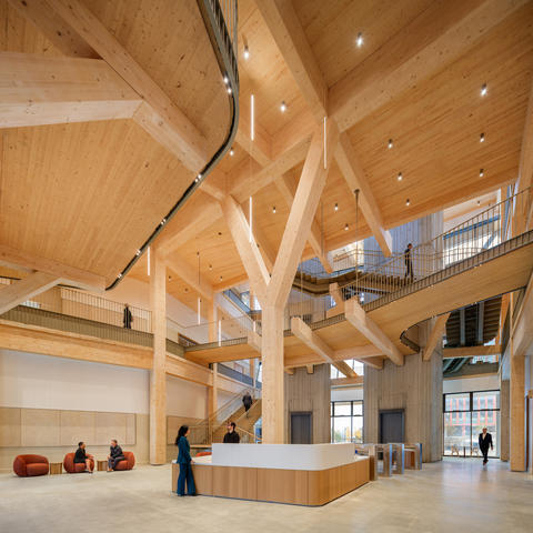 Interior view of the Treehouse